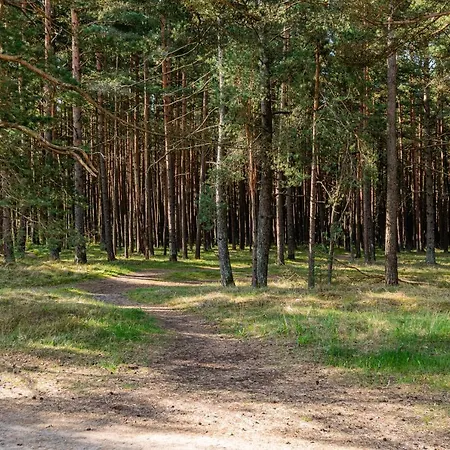 Juros Simfonija * Palanga