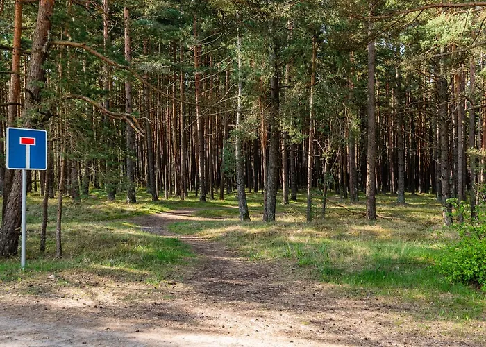 Juros Simfonija * Palanga