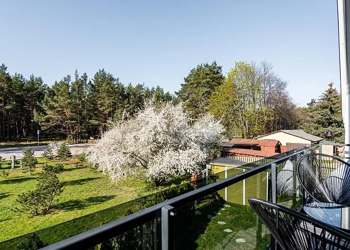 Juros Simfonija * Паланга